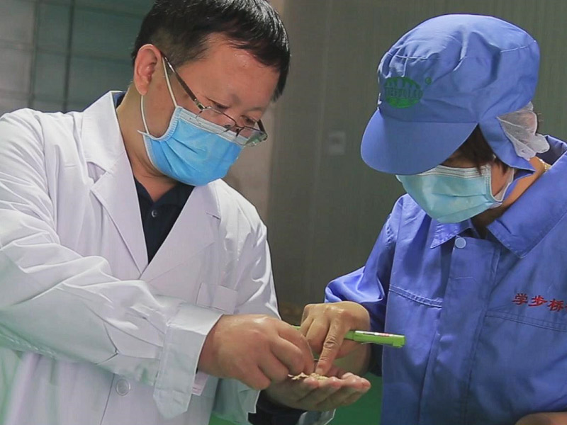 廠(chǎng)區(qū)掠影